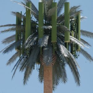 Galvanized GSM Mobile Bionic Palm Tree Antenna Tower Single Pole 5g Tower