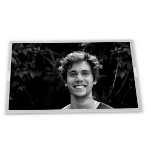 Wholesale High Resolution New and Good 5-Inch WLED LCD Display Module 800*480 ODM TM050RDZG03-00 Modules from china suppliers