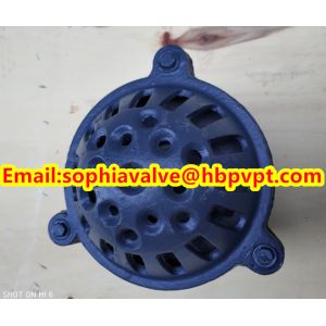 4'' GG20 BS21 PN16 threaded foot valve