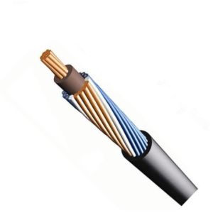 Concentric Design 10mm2 PVC Insulated Electrical Wires AA Cables with Neutral