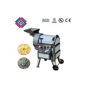 Commercial Fruit Processing Equipment / Kiwi Pear Apple Plantain Banana Chips