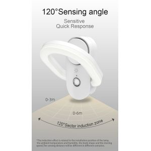 Anion purification night lamp