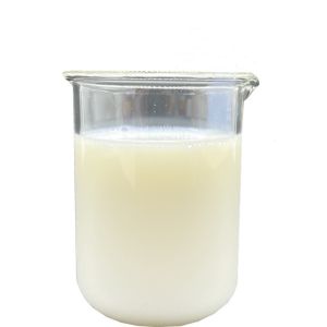 High Performance Self-Crosslinked Pure Acrylic Core-Shell Polymer Emulsion For