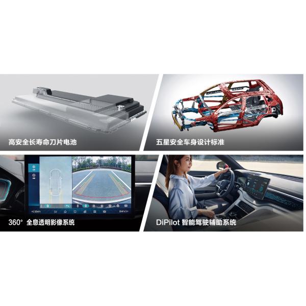 BYD SONG Pure Electric Car New EV Vehicle Y2022 Flag Ship Top Version