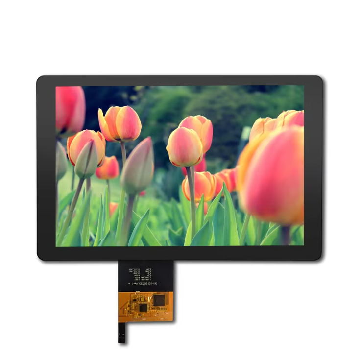 Region LCD Video Module MPG Image Format for Superior Display Performance