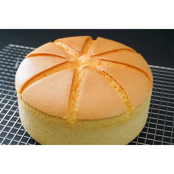 Calcium Stearoyl Lactylate CSL E482 USED IN BREAD White Powder