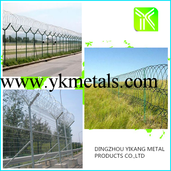 Galvanized Barbed Wire