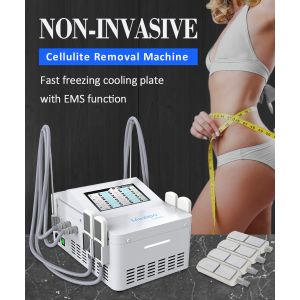 Wholesale 4 Cryo Cool Slimming Machine Body Shaping Pad With EMS from china suppliers