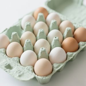 Convenient Rectangular Egg Dispenser Container For Stackable Organization