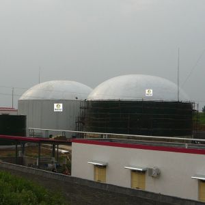 CH4 Anaerobic Digester Tank CO2 Biodigester Plant Continuous Stirred Tank
