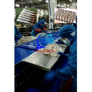 Capacity 15000pcs/H Automatic Tempura Machine And Automatic NOBASHI Machine