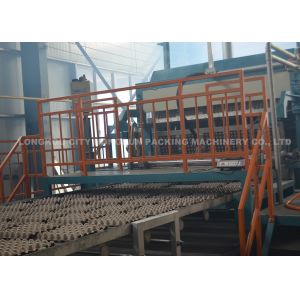 Environmental Protection Pulp Tray Machine / Apple Tray Molding Machine