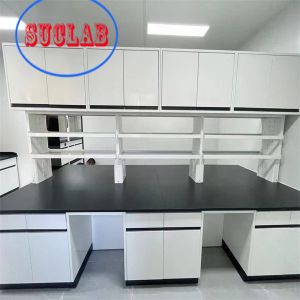 Wholesale Lab Setup with Customizable and Integrated Structure Modular Lab Furniture Manufacturer Hong Kong from china suppliers