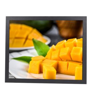 China Infrared 17 Inch Touch Screen Monitor IP65 Surface Waterproof on sale