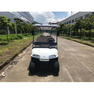 48V Large Capacity Battery Powered 8 Person Golf Cart With Reverse Folding Seats