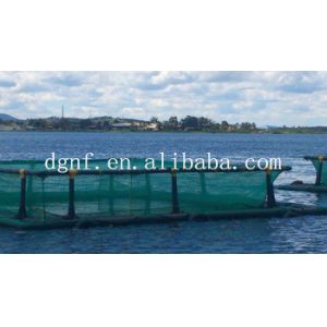 HDPE Floating Fish Cage with 50-Year UV Resistance and -60°C/+80°C Temperature
