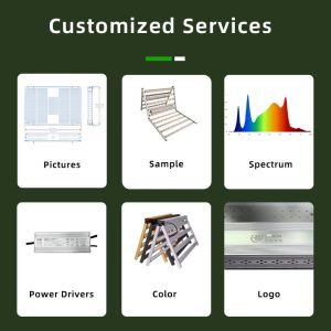 High Yield Samsung LM301H EVO LM281B Diodes Full Spectrum Dimmable 500W LED Grow