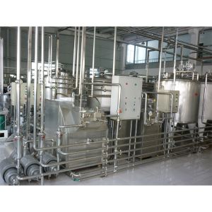 Standard Processing Small Dairy Milk Plant for Fruit Milk Processing Equipment