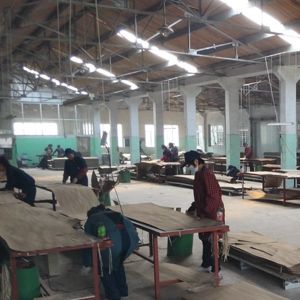 Fancy Wood Veneer Of Maple Burl 2500-3100mm MB-X2333 Lengthened Size For Wood