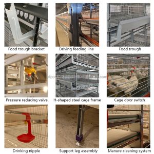 Automatic Battery Day Old Chicks Poultry Equipment Automated Pullet Brooding