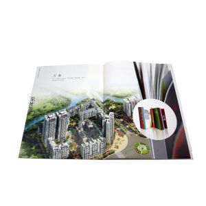 Coated Paper Colouring Book Printing Digital Booklet Brochure Printing