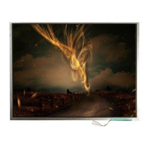 Wholesale LTM12C505 12.1 inch 1024*768 TFT-LCD Screen Display from china suppliers