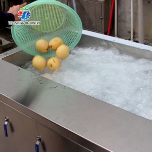 Commercial 2.6KW Fruit And Vegetable Processing Line Bubble Cleaning Juicing