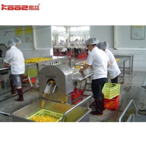 Wholesale Metal Packaging Material Automatic Grade Canned Food Processing Line from china suppliers