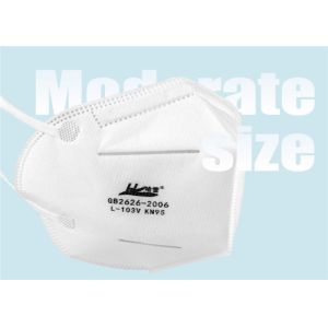 Harley Face Mask / L-188 Folding Type N95 Mask Noish Approved