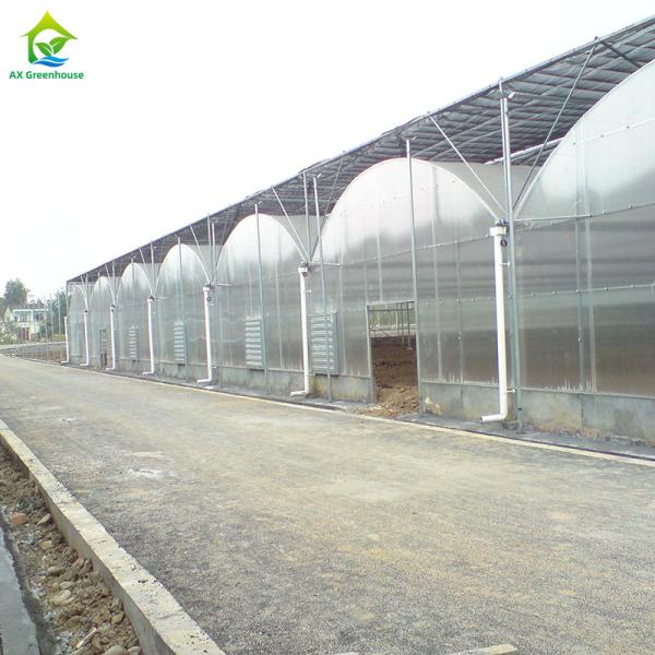 Quality Multi-span Industrial Polycarbonate PC Sheet Tomato Fruit Hydroponic Greenhouse for sale