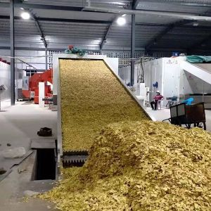 Energy Efficient Continuous Belt Dryer Chili Advanced Heat Recovery System