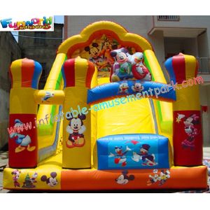 Amusement Mickey Commercial Inflatable Slide