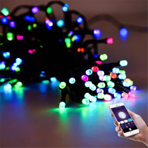 Intelligent Tuya Wi-Fi RGB Color Lighitng Decoration Wedding Lights Outdoor LED