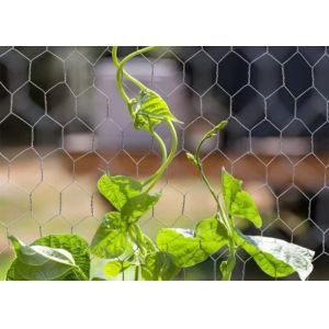 Galvanized Iron Chicken Wire Mesh Roll Double Twist Weave Easy Install For