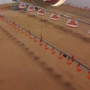 Broiler Poultry Nipple Drinker System For Chicken