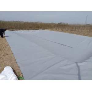 PVC Tarpaulin Foldable Agricultural Rainwater Collection Bladder