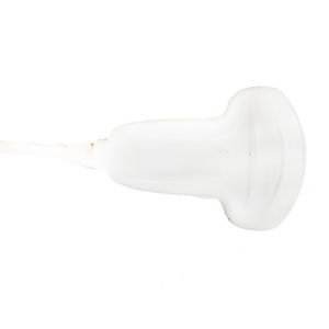 SONOSITE C60 Convex Array Probe Ultrasound Abdominal Transducer