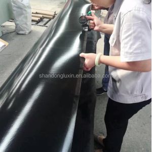 Outdoor Black Polyethylene Geomembrane for Biogas Digesters 2mm HDPE Fish Farm