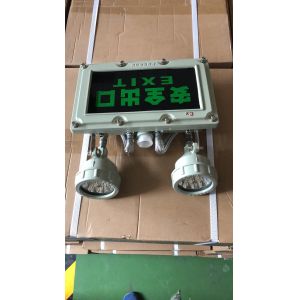 403 Status Code Burstproof Emergency Light Ensuring Safety and Security in Emergency Situations