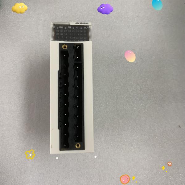 Quality SCHNEIDER BMXAMM0600 MODICON INPUT/OUTPUT MODULE ANALOG 2 OUT NEW for sale