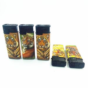 Kitchen Essential Dongyi Model NO. DY-F007 Windproof Gas Lighter