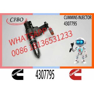 China Wholesale High Level Fuel Injector 4307795 3087733 3095086 3411691 3411759 3411764 3411765 3411766 4307516 3083846 30875 on sale