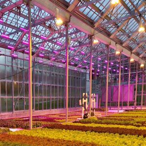 Galvanized Stainless Steel Greenhouse Solar Mounting Structure