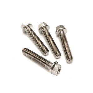Titanium Hex Head Bolts & Nuts DIN931 DIN933 M20 Titanium Alloy Hex Flange Bolt