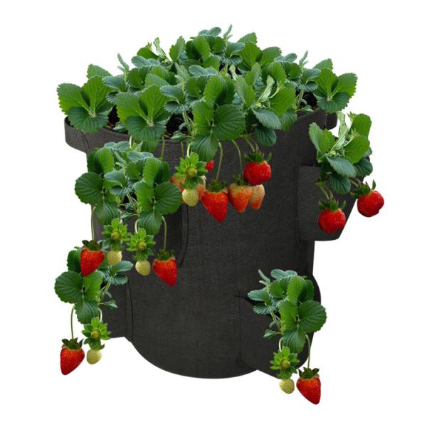 38L Quadrate Strawberry Grow Bags