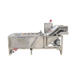 Fresh Mango Brush Roller 500kg/hour Vegetable Washing Machine