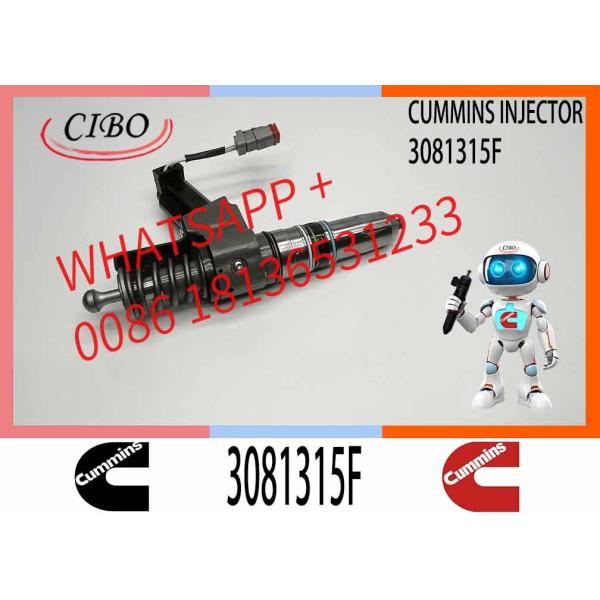 NINE Brand Engine Parts Fuel Injector 3081315F Diesel Injector 3081315F