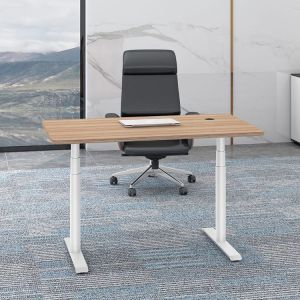 Custom Student Dual Motor Writing Desk for Height Adjustable Wood Desk in