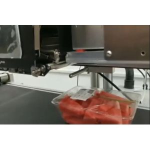 Electric Driven WPL9000 l Fruit Weighing Printer for Pork Processing and