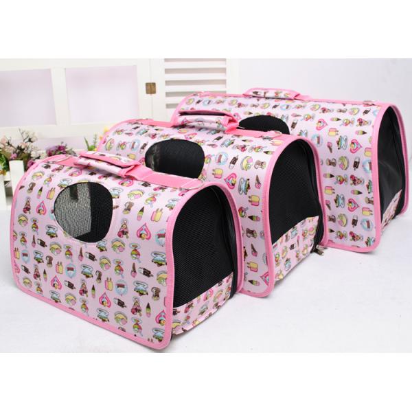 Fashion Pet Backpack Carrier